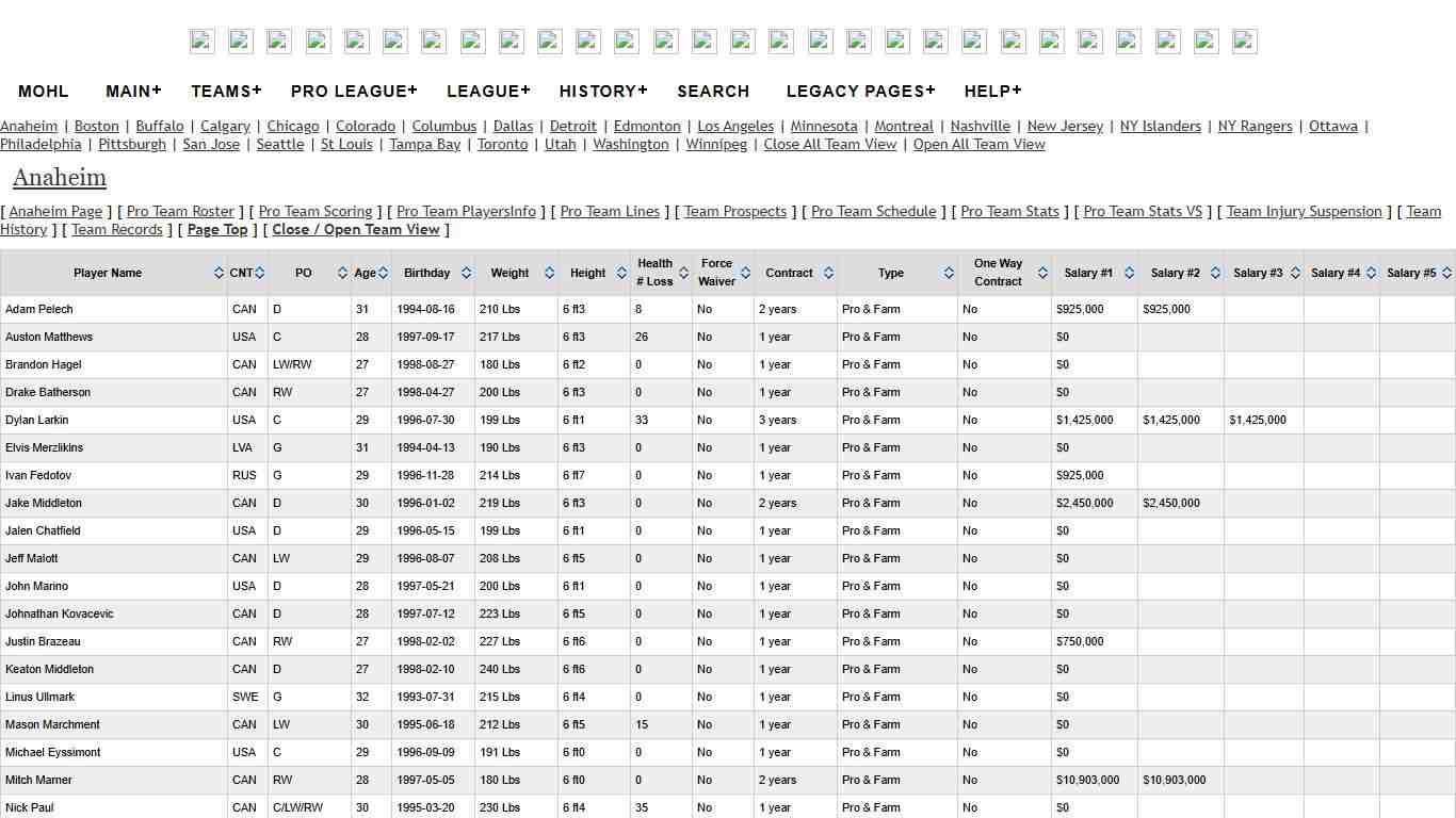 Montreal Online Hockey Simulator - Pro Team PlayersInfo
